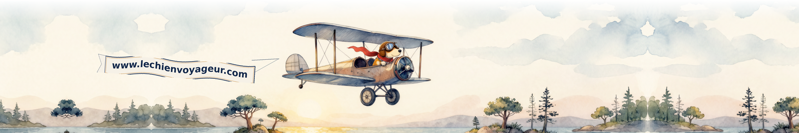 My Dog Can Fly — traveling with your dog