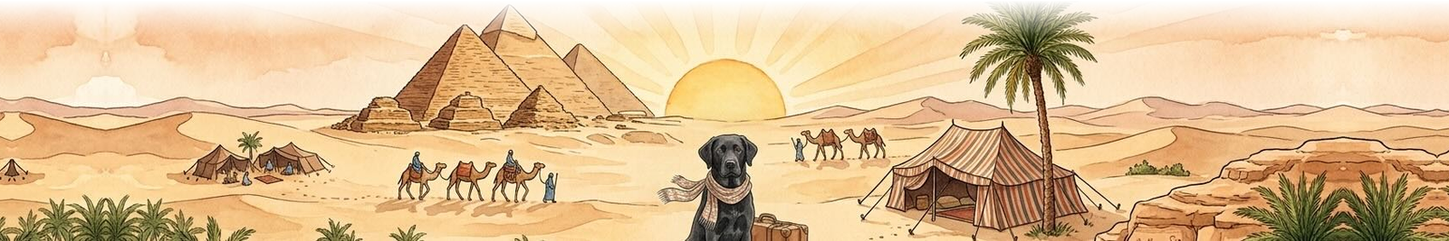 My Dog Can Fly — traveling with your dog