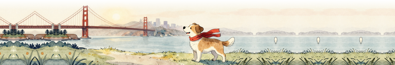 My Dog Can Fly — traveling with your dog