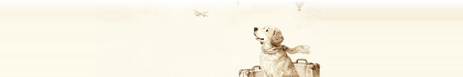 My Dog Can Fly — traveling with your dog